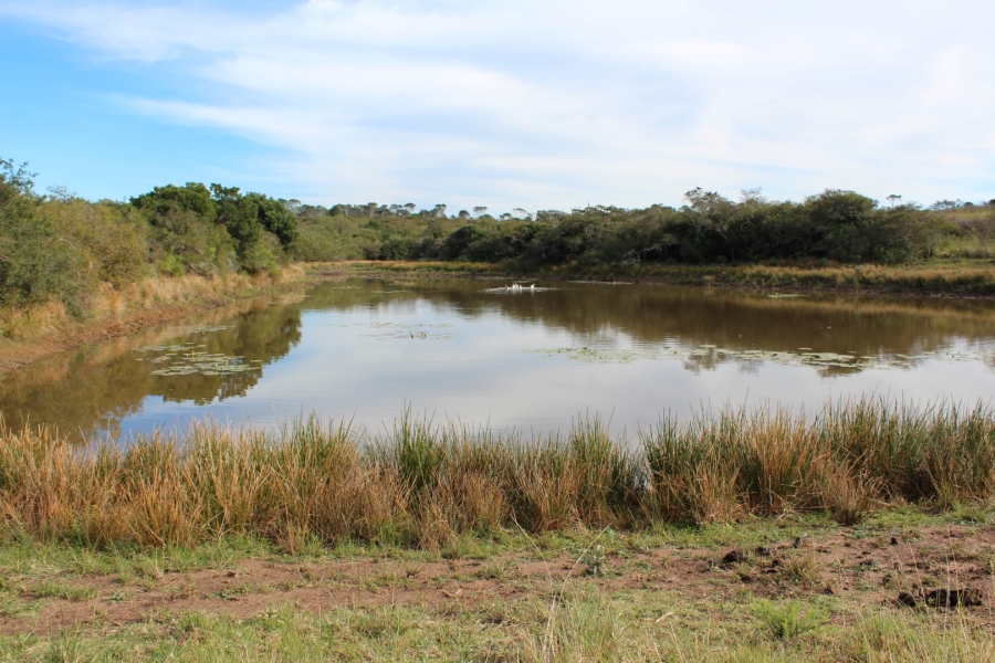 1 Bedroom Property for Sale in Bathurst Rural Eastern Cape